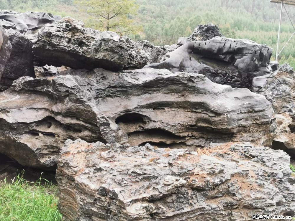 风景石、假山石大量有货，有需要的欢迎联系 - 新手上路 - 五家渠生活社区 - 五家渠28生活网 wjq.28life.net
