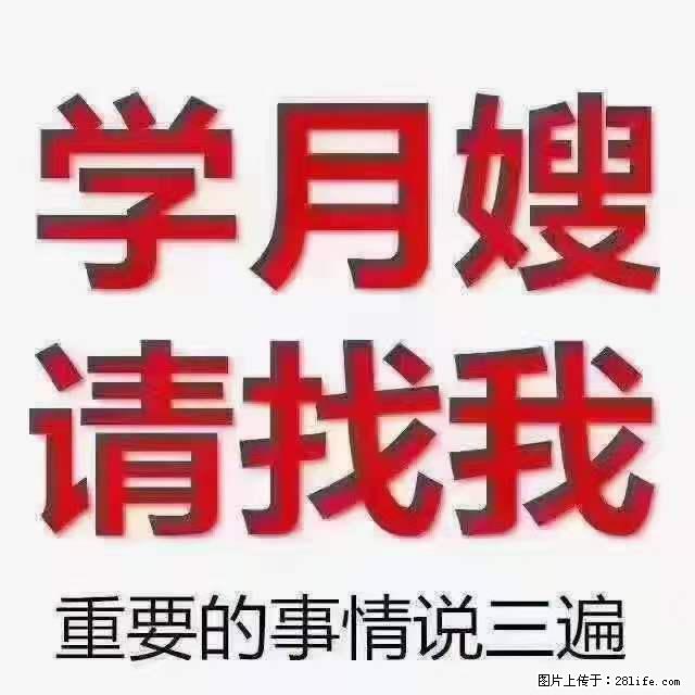 为什么要学习月嫂，育婴师？ - 其他广告 - 广告专区 - 五家渠分类信息 - 五家渠28生活网 wjq.28life.net
