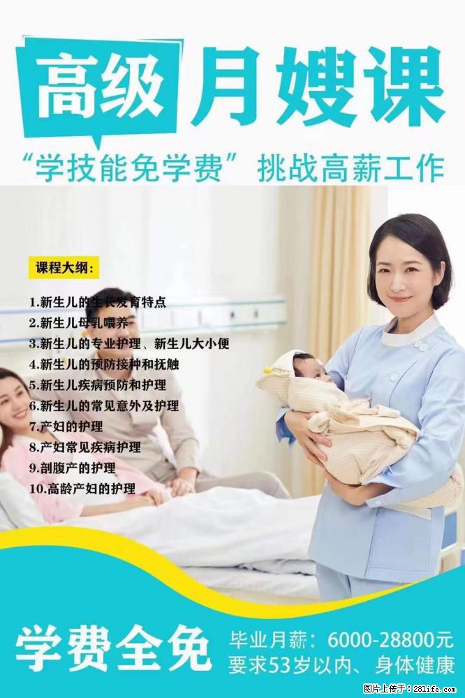 为什么要学习月嫂，育婴师？ - 其他广告 - 广告专区 - 五家渠分类信息 - 五家渠28生活网 wjq.28life.net
