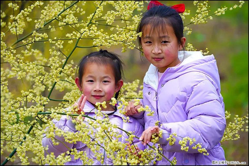 【春天,广西桂林灌阳县向您发出邀请!】米珠山前有片山苍子花在飘香 - 游山玩水 - 五家渠生活社区 - 五家渠28生活网 wjq.28life.net