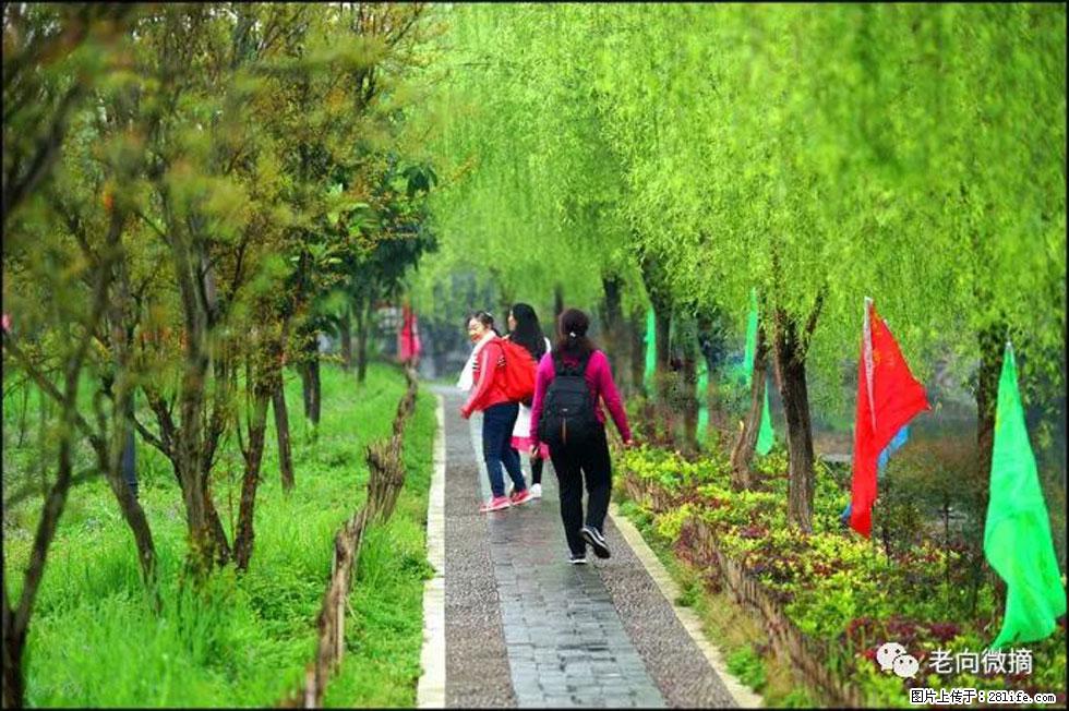 【春天，广西桂林灌阳县向您发出邀请！】江口老街又逢春 - 游山玩水 - 五家渠生活社区 - 五家渠28生活网 wjq.28life.net