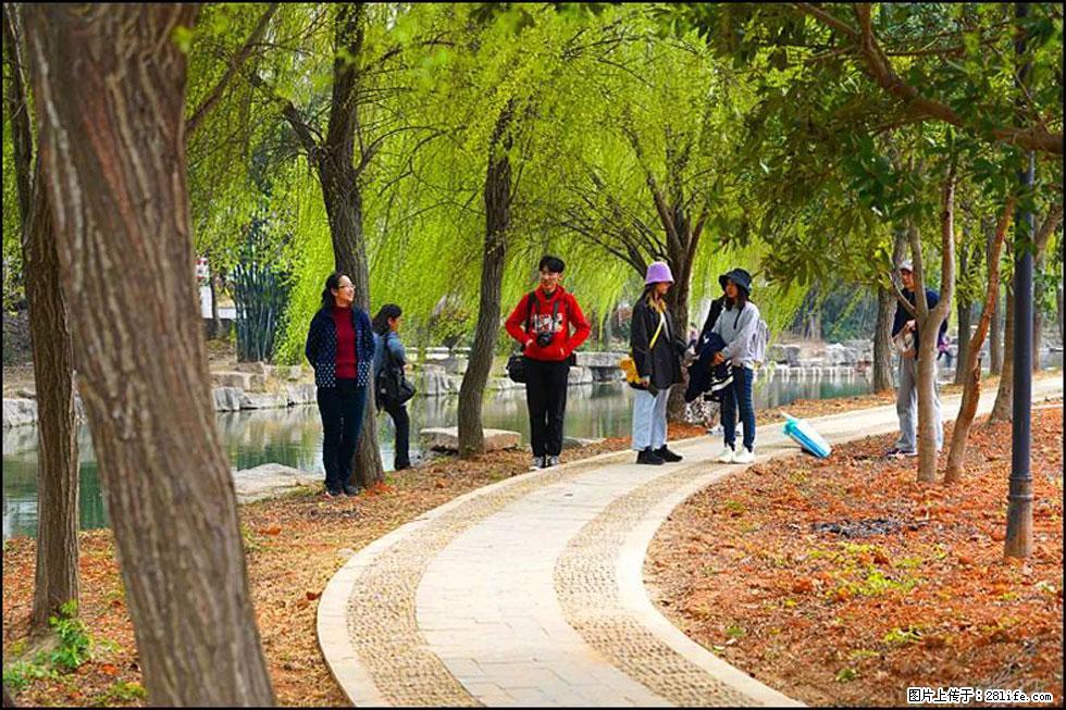 【春天，广西桂林灌阳县向您发出邀请！】江口老街又逢春 - 游山玩水 - 五家渠生活社区 - 五家渠28生活网 wjq.28life.net