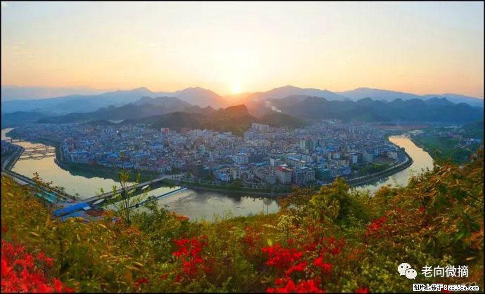 【春天，广西桂林灌阳县向您发出邀请！】登麒麟山，相约映山红 - 游山玩水 - 五家渠生活社区 - 五家渠28生活网 wjq.28life.net