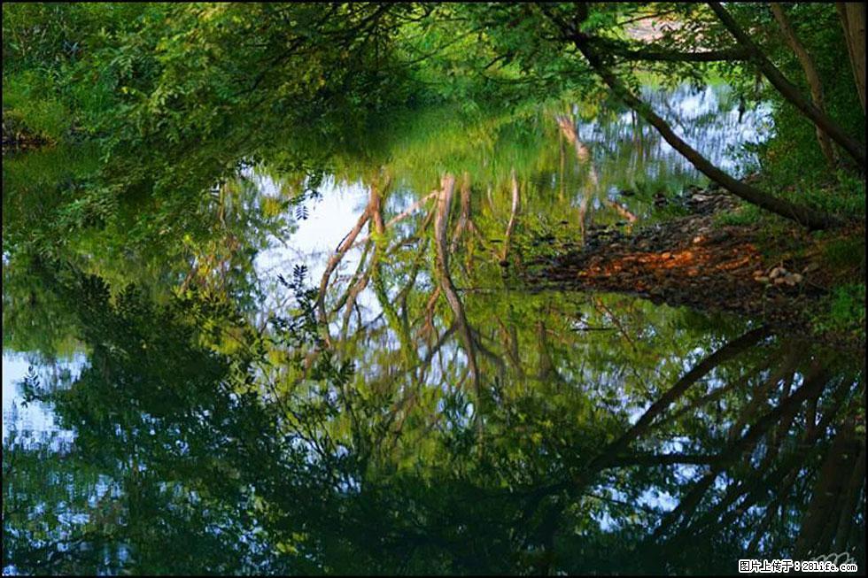 【春天,广西桂林灌阳县向您发出邀请!】熊家寨湿地公园 - 游山玩水 - 五家渠生活社区 - 五家渠28生活网 wjq.28life.net