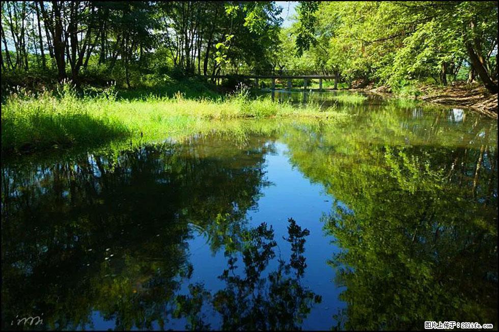 【春天,广西桂林灌阳县向您发出邀请!】熊家寨湿地公园 - 游山玩水 - 五家渠生活社区 - 五家渠28生活网 wjq.28life.net