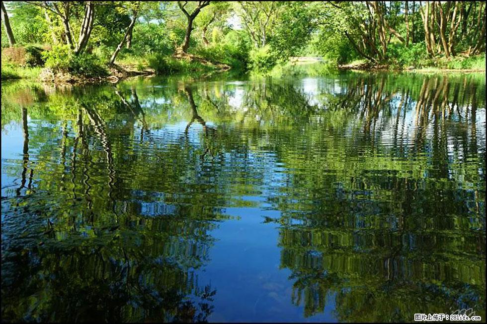 【春天,广西桂林灌阳县向您发出邀请!】熊家寨湿地公园 - 游山玩水 - 五家渠生活社区 - 五家渠28生活网 wjq.28life.net