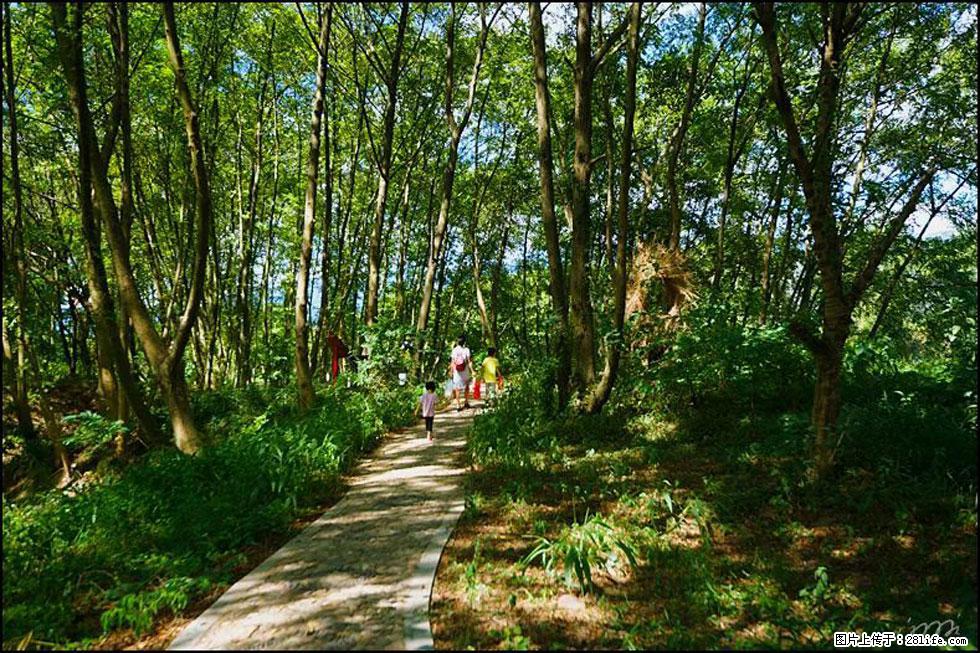 【春天,广西桂林灌阳县向您发出邀请!】熊家寨湿地公园 - 游山玩水 - 五家渠生活社区 - 五家渠28生活网 wjq.28life.net
