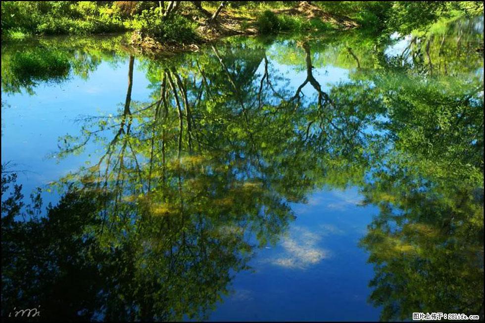 【春天,广西桂林灌阳县向您发出邀请!】熊家寨湿地公园 - 游山玩水 - 五家渠生活社区 - 五家渠28生活网 wjq.28life.net