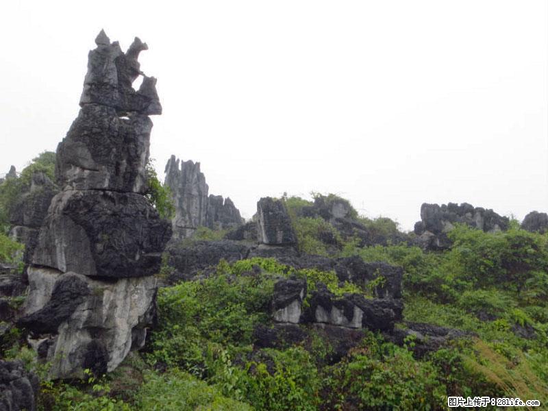 桂林旅游名城景点：灌阳文市石林 - 游山玩水 - 五家渠生活社区 - 五家渠28生活网 wjq.28life.net