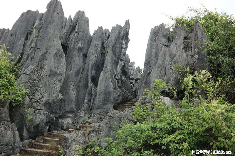 桂林旅游名城景点：灌阳文市石林 - 游山玩水 - 五家渠生活社区 - 五家渠28生活网 wjq.28life.net