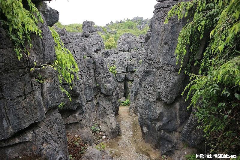 桂林旅游名城景点：灌阳文市石林 - 游山玩水 - 五家渠生活社区 - 五家渠28生活网 wjq.28life.net