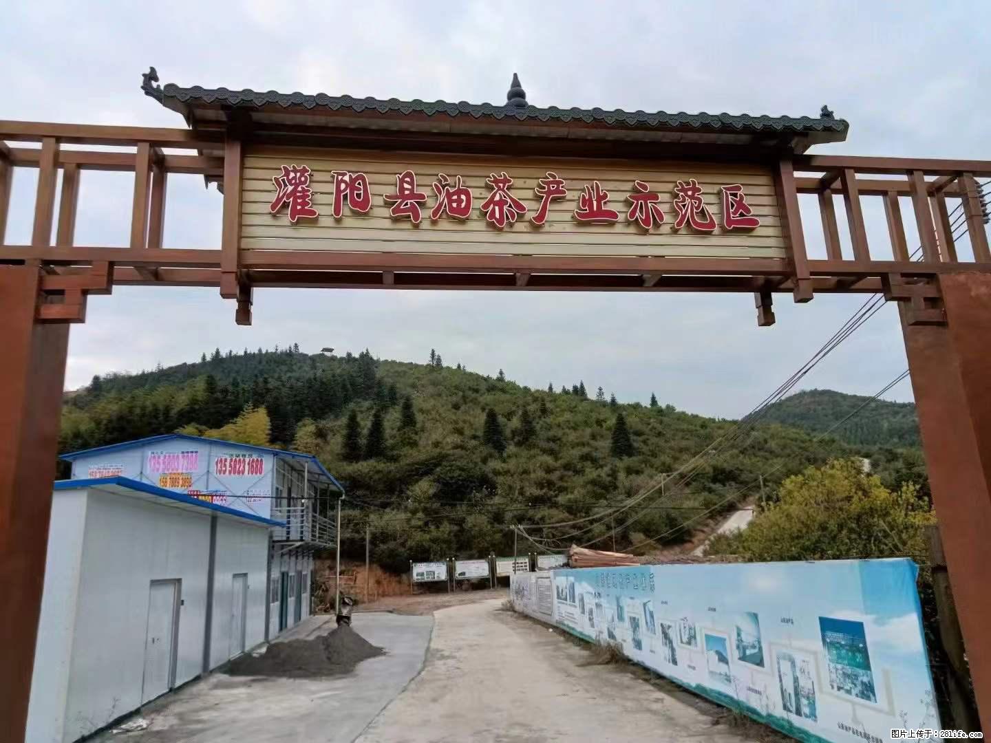 【灌阳县油茶产业示范区】一个有着充实的精神生活的人，对待身外之物自会有一种淡泊的态度 - 土特产 - 饮食特产 - 五家渠分类信息 - 五家渠28生活网 wjq.28life.net