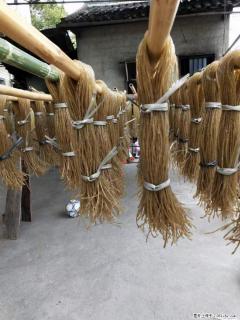 【灌阳正宗红薯粉】美女家里自己做的，干净卫生，假一赔十，价格合理，抢购电话：13737312895 - 五家渠28生活网 wjq.28life.net