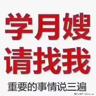 为什么要学习月嫂，育婴师？ - 五家渠28生活网 wjq.28life.net