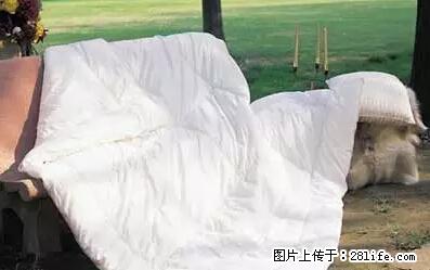 被子有异味？只要这样做，比晒太阳还强100倍！ - 家居生活 - 五家渠生活社区 - 五家渠28生活网 wjq.28life.net
