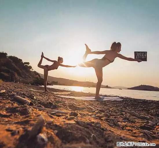 辞掉工作周游世界？现在他们在洗厕所…… - 游山玩水 - 五家渠生活社区 - 五家渠28生活网 wjq.28life.net