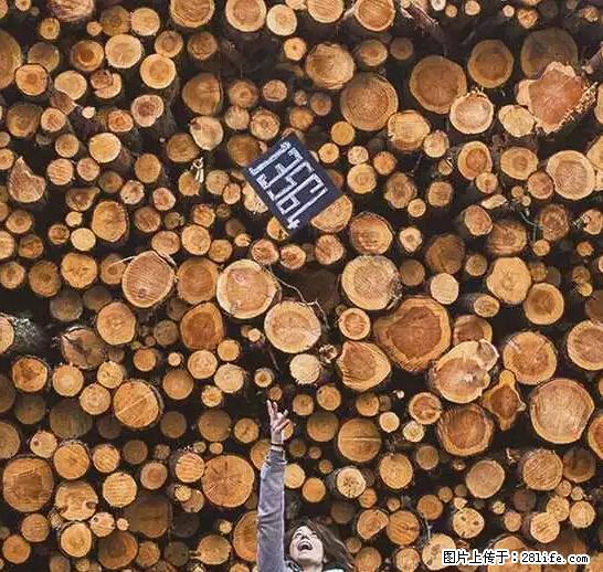 辞掉工作周游世界？现在他们在洗厕所…… - 游山玩水 - 五家渠生活社区 - 五家渠28生活网 wjq.28life.net