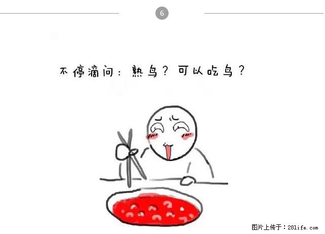 千万不要和这9种哈卵一起吃火锅！ - 美食天地 - 五家渠生活社区 - 五家渠28生活网 wjq.28life.net