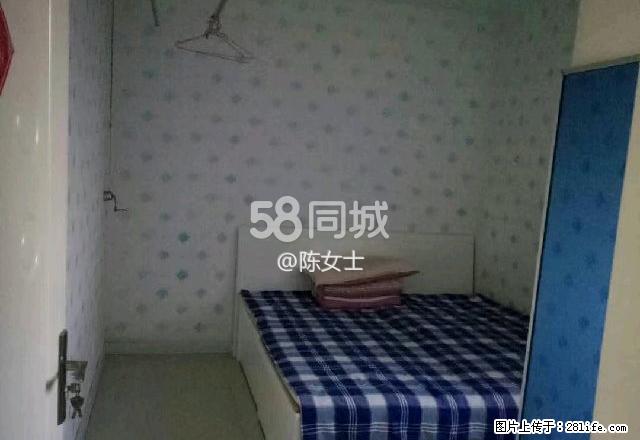 商贸城附近 2室2厅1卫 - 房屋出租 - 房屋租售 - 五家渠分类信息 - 五家渠28生活网 wjq.28life.net