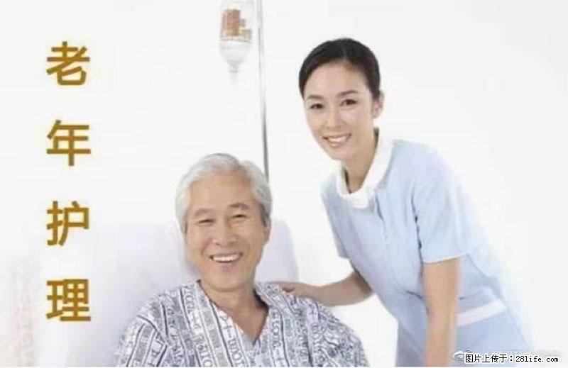 上海国企养老院，星级酒店环境，招聘养老护工 - 职场交流 - 五家渠生活社区 - 五家渠28生活网 wjq.28life.net