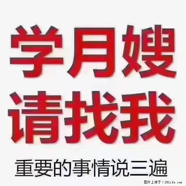 【招聘】月嫂，上海徐汇区 - 职场交流 - 五家渠生活社区 - 五家渠28生活网 wjq.28life.net