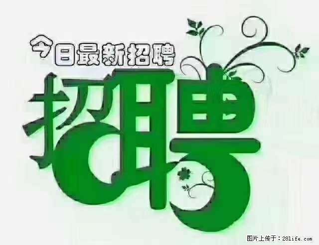 急聘！急聘！上海酒店长期前台，做六休一，每天8小时，6000块钱一月 - 职场交流 - 五家渠生活社区 - 五家渠28生活网 wjq.28life.net