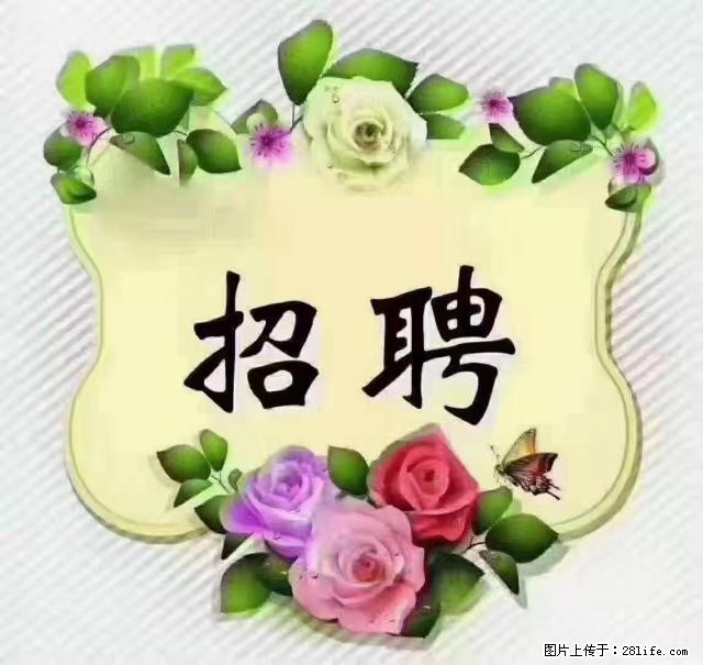 【招聘】住家育儿嫂，上户日期：4月4日，工作地址：上海 黄浦区 - 职场交流 - 五家渠生活社区 - 五家渠28生活网 wjq.28life.net