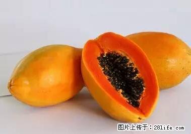 晕车、脚气、牙齿变黄、皮肤粗糙？学会这些三分钟搞定！ - 五家渠生活资讯 - 五家渠28生活网 wjq.28life.net