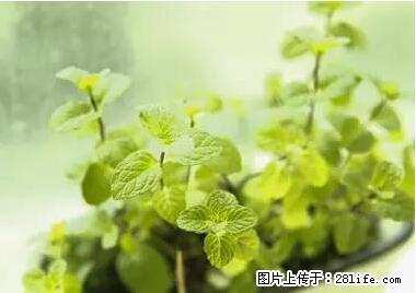 晕车、脚气、牙齿变黄、皮肤粗糙？学会这些三分钟搞定！ - 五家渠生活资讯 - 五家渠28生活网 wjq.28life.net