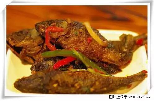 来广西旅游必吃这20道桂菜，不然就白来广西啦！ - 五家渠生活资讯 - 五家渠28生活网 wjq.28life.net