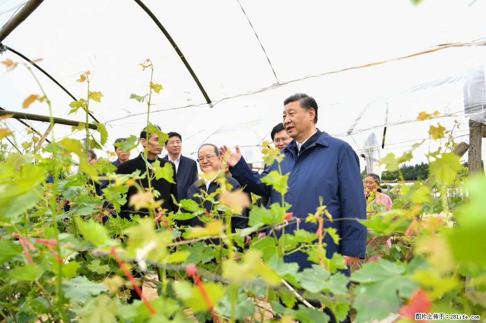 习近平赴广西考察调研 - 五家渠生活资讯 - 五家渠28生活网 wjq.28life.net