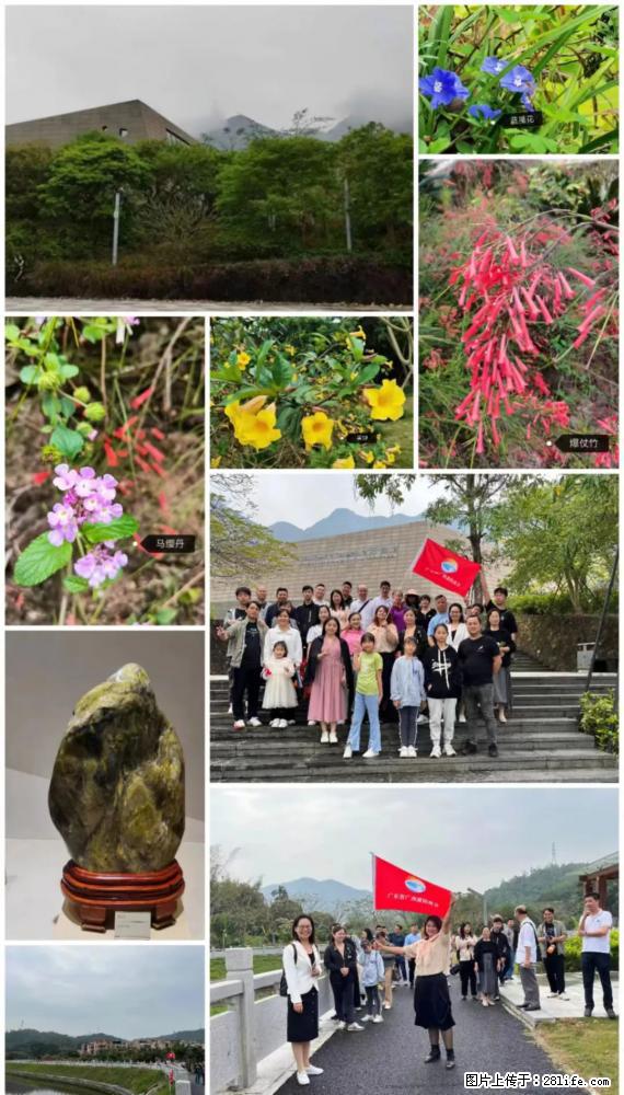 “粤灌文化 美好生活”油茶文化主题活动在广东深圳成功举办 - 五家渠生活资讯 - 五家渠28生活网 wjq.28life.net