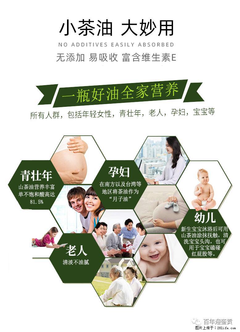 世界没有真相，只有认知，最好的食用油是中国的山茶油！ - 五家渠生活资讯 - 五家渠28生活网 wjq.28life.net