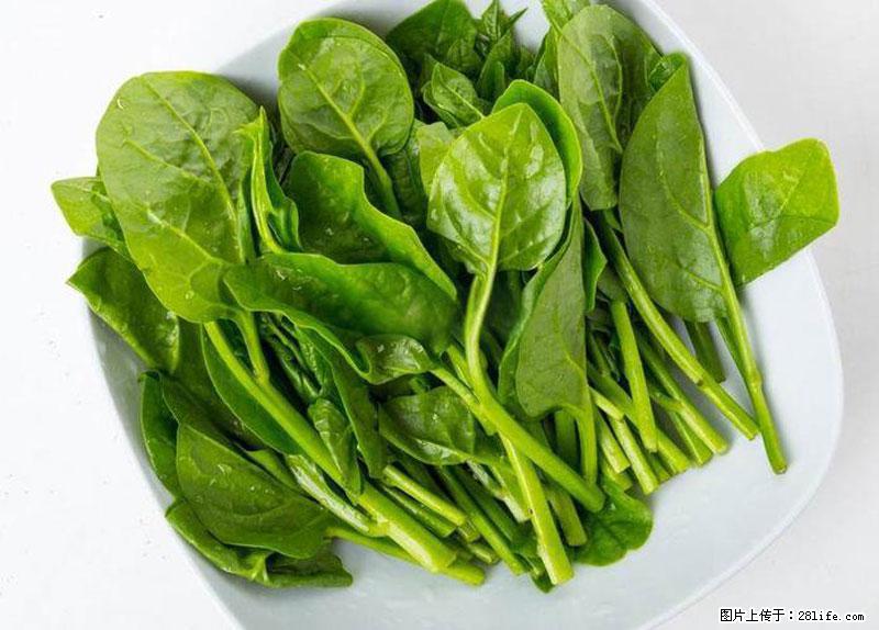 这些蔬菜是“天然钙片”，这6种被医生重点推荐 - 五家渠生活资讯 - 五家渠28生活网 wjq.28life.net