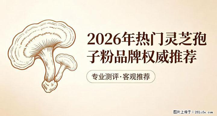 灵芝孢子粉含量越高越有效？2026 年七款热门品牌深度实测，肠胃敏感者避坑指南 - 五家渠生活资讯 - 五家渠28生活网 wjq.28life.net